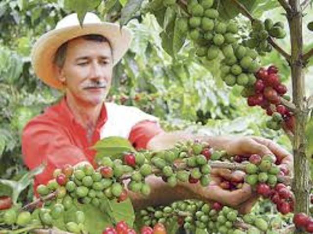 Aparecen las primeras trilladoras