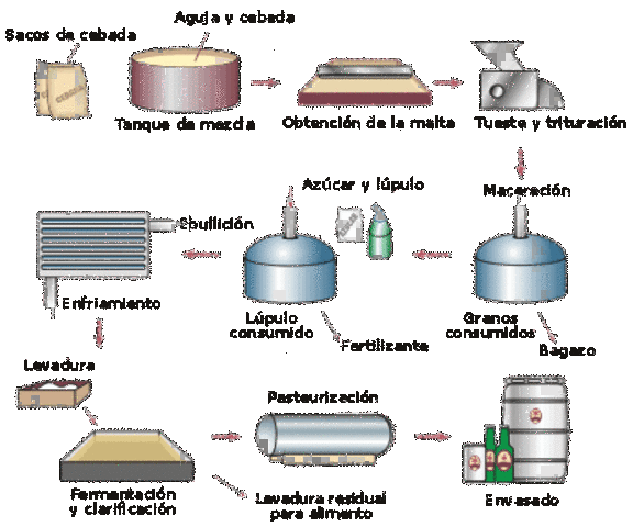 Proceso de fermentación