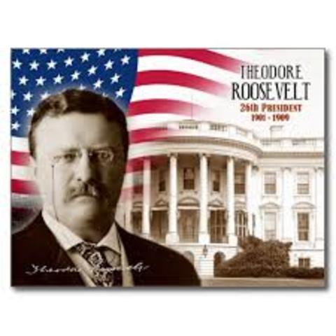 Theodore Roosevelt becomes president