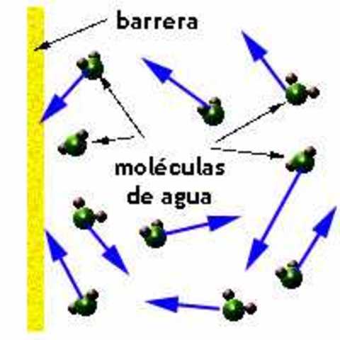 Albert Einstein explica el movimiento browniano