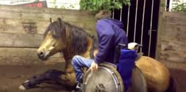 Primer Centro Especializado