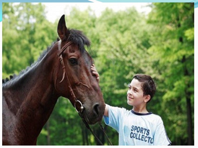 Extensión de la Equinoterapia