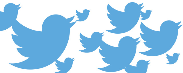 Twitter rises in popularity