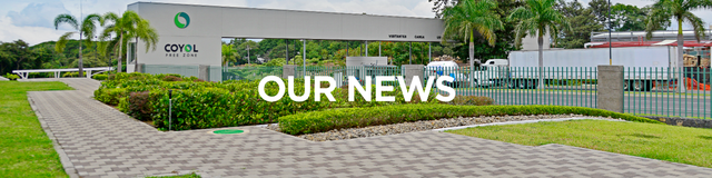 Revision de propuestas de las empresas Web