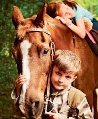 Clasificación de Necesidades