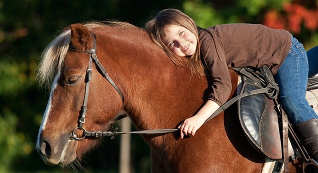 Hipoterapia ya como termino