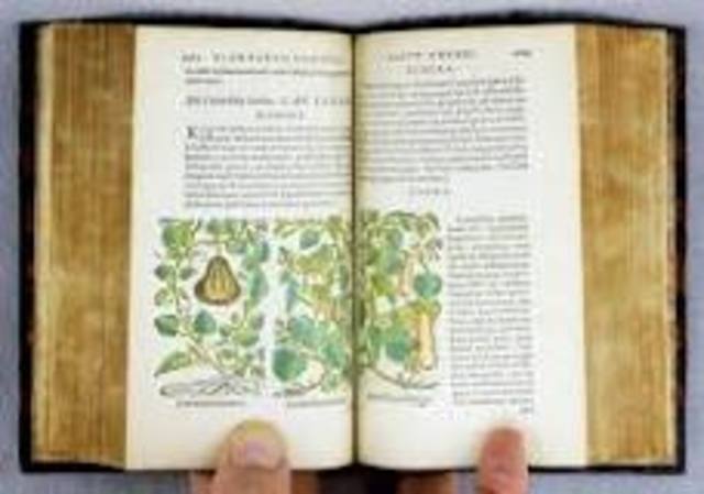 stirpium commentarii insignes