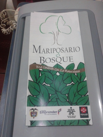 Obtención de título de tecnóloga en contabilidad y finanzas