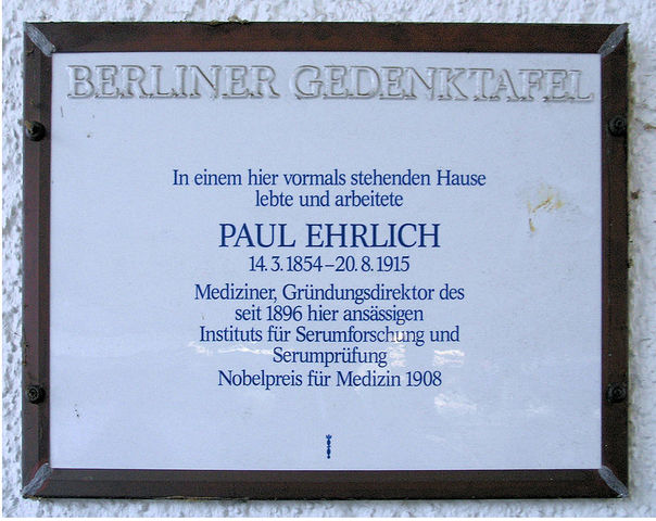 Sauerstoffbedürfnis des Organismus