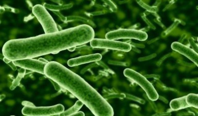 Tratamiento contra Sifilis