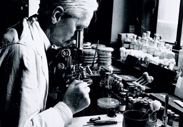 The Discovery of Penicillin