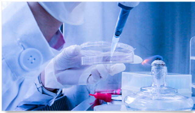 USO CLÍNICO DE PENICILINA