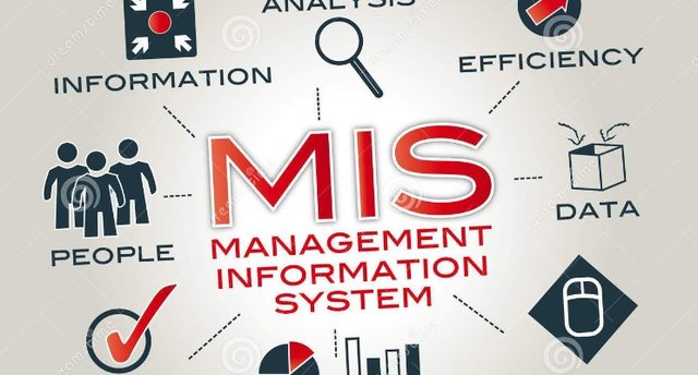 Management Information Systems