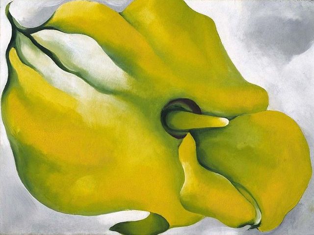 Yellow Calla
