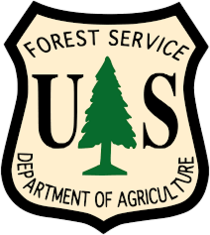 Forest service