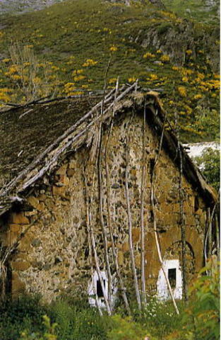 Surge la construcción de viviendas