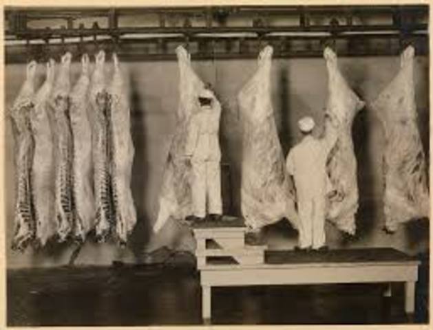 Meat Inspection Act and the Pure Food and Drug Act