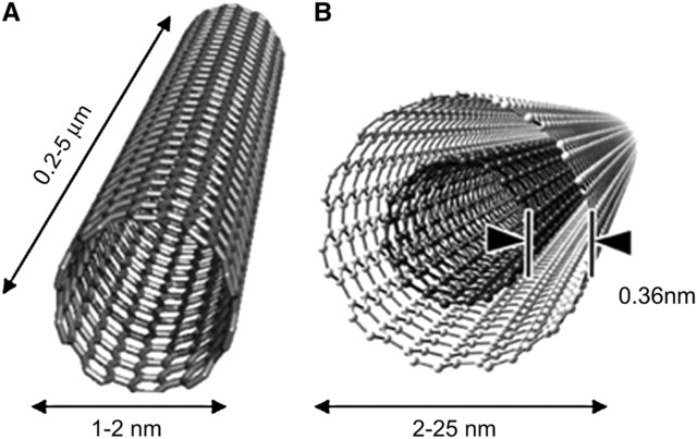 Nanotubos de carbono