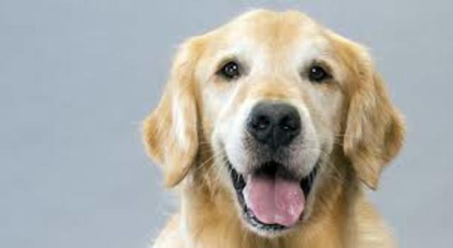 My true first best friend