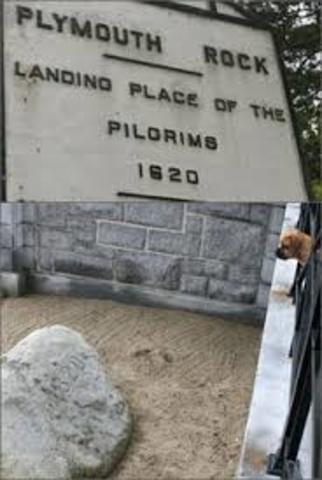 Plymouth Rock