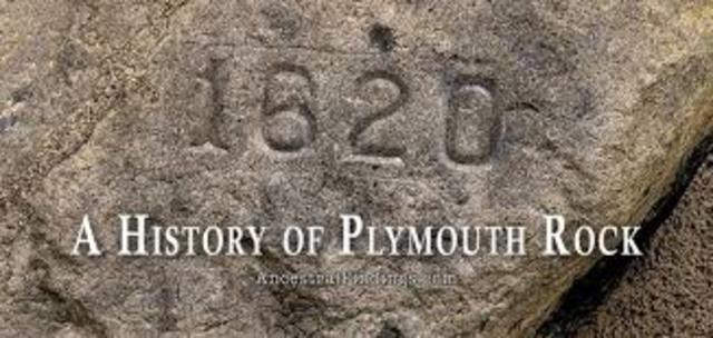 Plymouth Rock