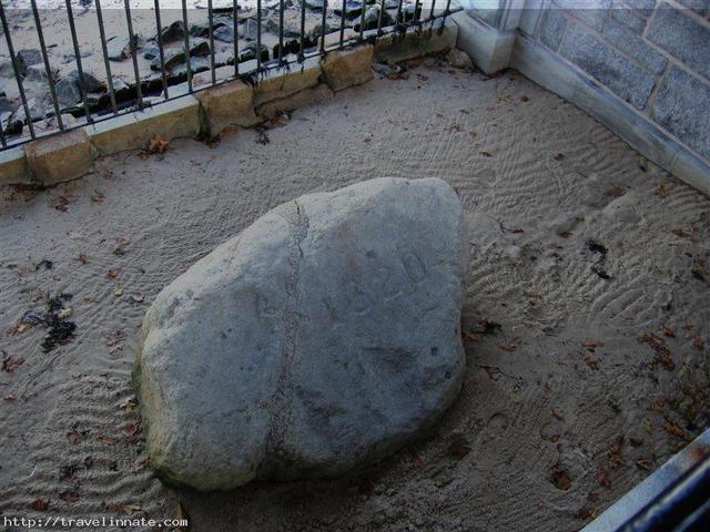 plymouth rock