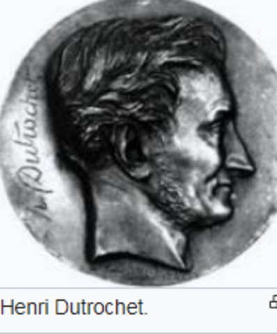 R.J. Henri Dutrochet