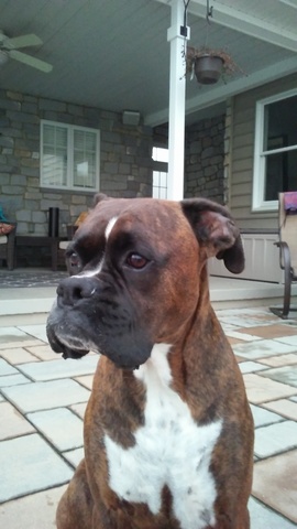 Bryndle Came into Family