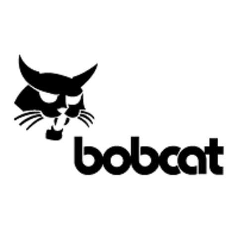 Bobcat