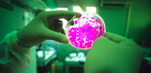 first human liver grown from stem cells in Japan