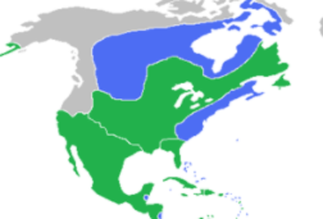 Treaty of Paris, 1763