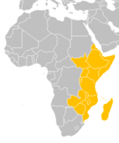 Indian Influence on East Africa