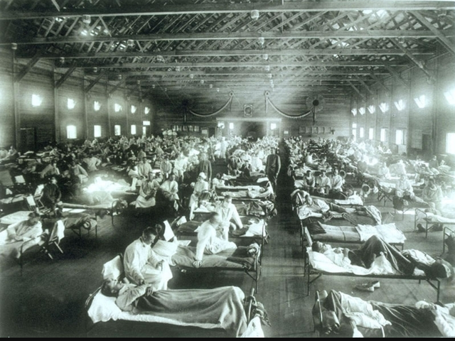 Spainish Flu
