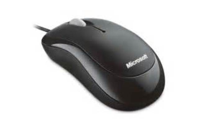 A Computer Mouse