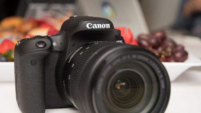 The year I joined yearbook