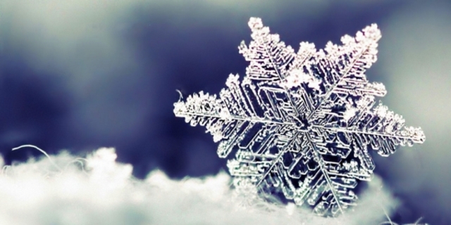 The day my older sister came back from Mexico