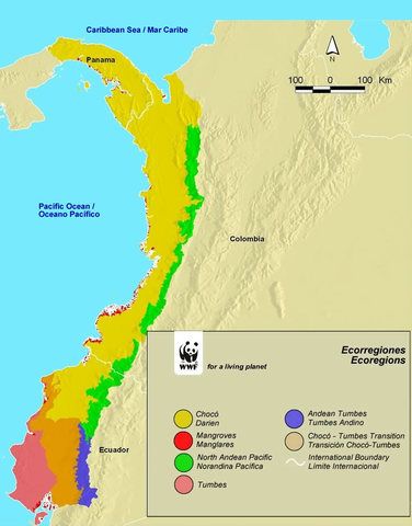 Los limites de Colombia
