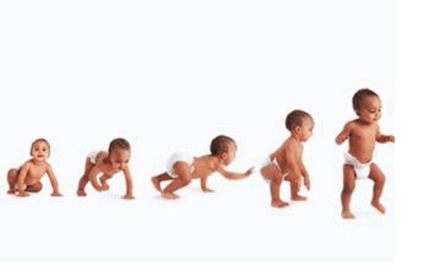 Programa de Desarrollo motor