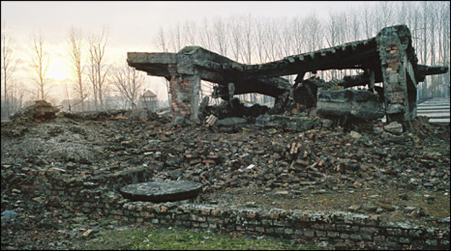 This is what Auschwitz looks like to visitors today.