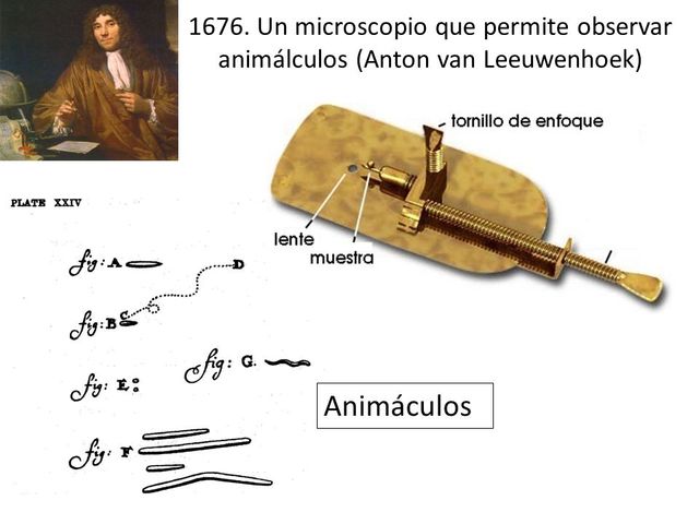 Anton van Leeuwenhoek