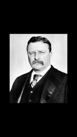 Theodore Roosevelt becomes president