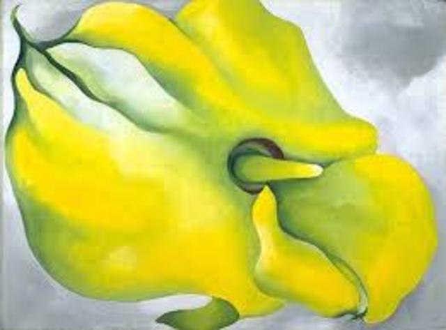 Yellow Calla