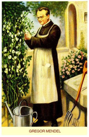 Gregor Mendel (1822-1884)