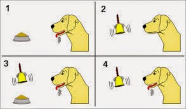 Iván Pavlóv- Reflejos condicionados.