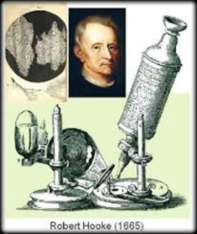 Robert Hooke
