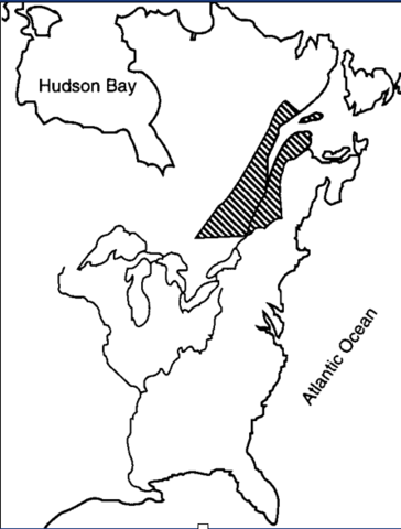 Samuel de Champlain (Founding of Quebec)