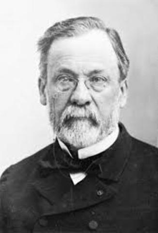 Louis Pasteur (microbiology) pasteurization of milk