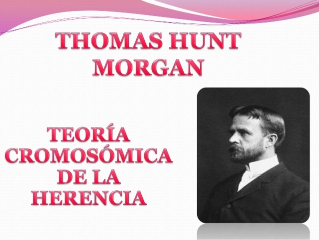 Thomas Morgana