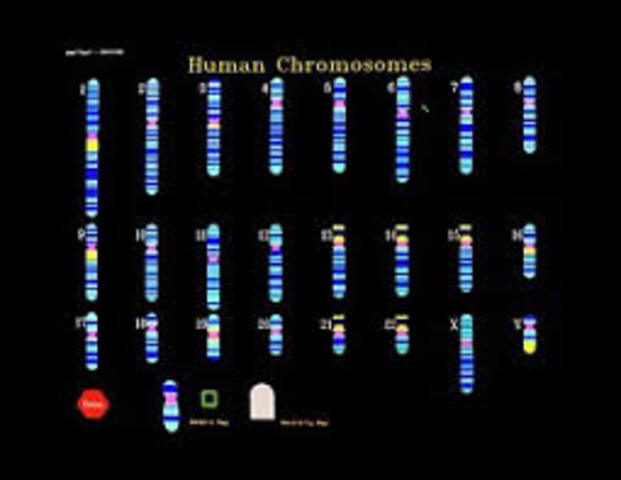 The Human Genome project