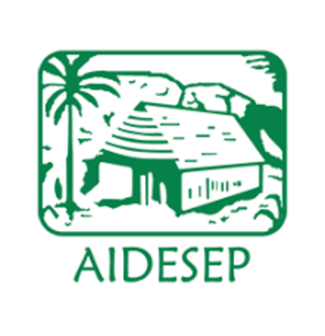 Primeras organizaciones Amazónicos en Bolivia y Perú